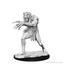 Nolzurs Marvelous Miniatures - Troll
